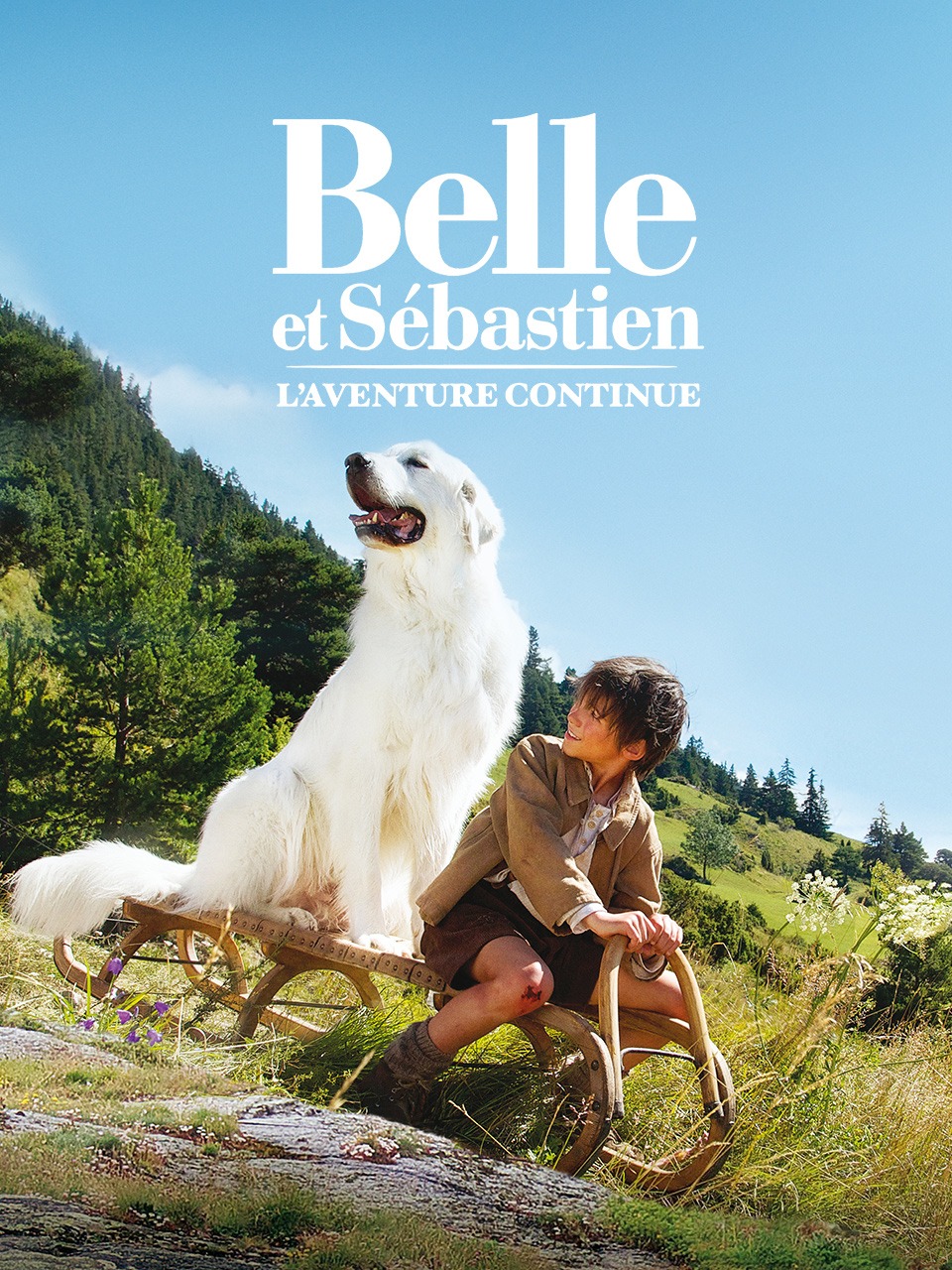 灵犬雪莉冒险再出发