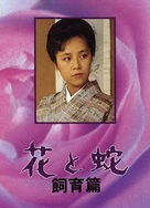 草莓视频免费观看