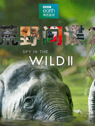 荒野间谍2版