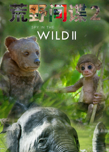 荒野间谍 2